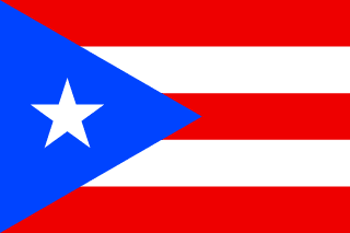 Puerto Rico LLC flag
